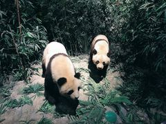 -长江文明馆