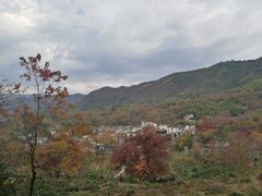 -塔川景区