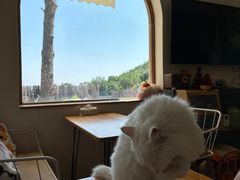 -小时光咖啡馆(开森度假森林店)