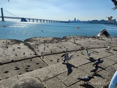 -星海广场