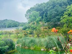 -岳麓山风景名胜区