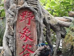 -野象谷景区