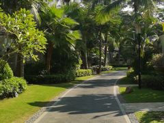 -马艾萨中国兰州牛肉拉面(劲松店)