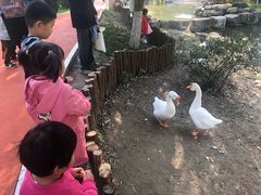 -东升文体公园