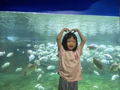 -蓬莱欧乐堡海洋极地世界