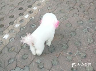 孩子们把我老俩当宝了，到现在也不许我们出门