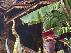 -西双版纳总佛寺
