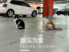 -圆融星座购物中心