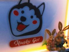 -Husky Go! 哈士奇体验馆·宠物咖啡厅狗咖