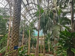 -南山植物园