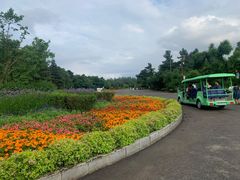 -长春市南湖公园