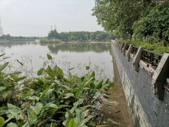 -黄埔古港