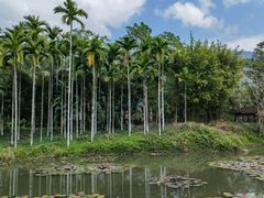 -七仙岭温泉国家森林公园