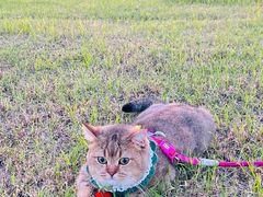 -汉长安城未央宫国家考古遗址公园