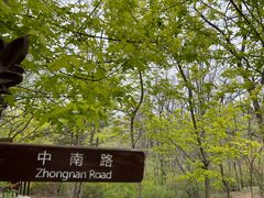 -大连植物园