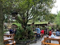 -青城甲(青城山店)