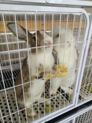 -小蜜蜂农场(凯德七宝购物广场店)