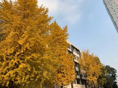 -四川大学(望江校区)