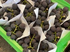 -西郊国际农产品交易中心