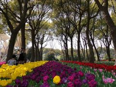 -上海鲜花港