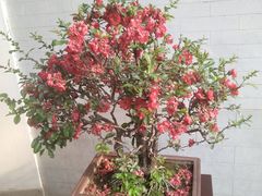 -陶然亭公园