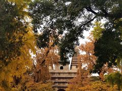 -北京石刻艺术博物馆(五塔寺)