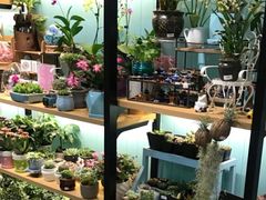 -妃比花艺(光启城时尚购物中心店)