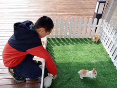-临空皇冠假日酒店-西餐厅(首都机场店)