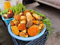 -云南木水花野生菌交易中心