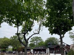 -枫桥景区