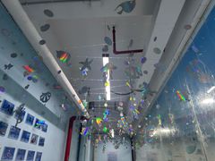-嗨北游泳俱乐部(艺丰大厦店)