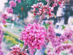 -幸福门