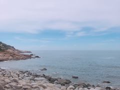 -广东惠东海龟国家级自然保护区