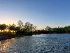 -东郊湿地公园