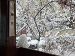 -济南国际园博园