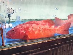 -勝記酒家·37年老字号·经典粤菜(荔枝公园店)