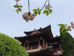 -西安青龙寺遗址景区