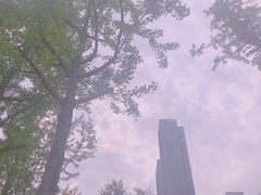 -重庆市江北嘴中央商务区中央公园