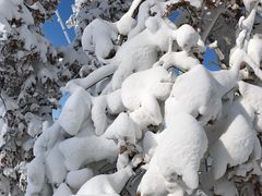 -庙香山滑雪场