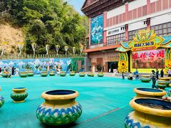 -西双版纳原始森林公园