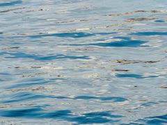 -蓝湾碧波·老字号·疍家非遗海上餐厅