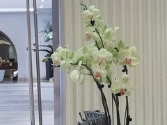 -桃源春晓中餐厅 TaoYuan Restaurant