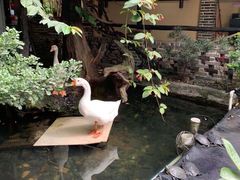 -优之名鹅城
