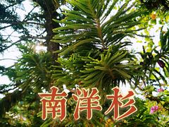 -集美鳌园景区