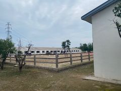 -北京群众马术培训基地