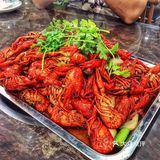 100元五斤小龙虾——惠州美食