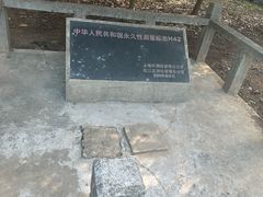 -上海佘山国家森林公园天马山园