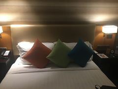 -成都明宇丽雅饭店