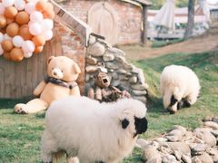 -HERRE·FARM 赫尔露营农场·团建聚会包场