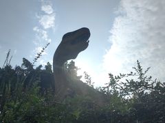 -自贡恐龙博物馆